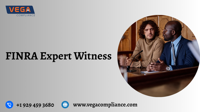finra expert witness