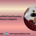 benefits of a certified fraud examiner expert witness in litigation