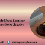 how a certified fraud examiner expert witness helps litigation